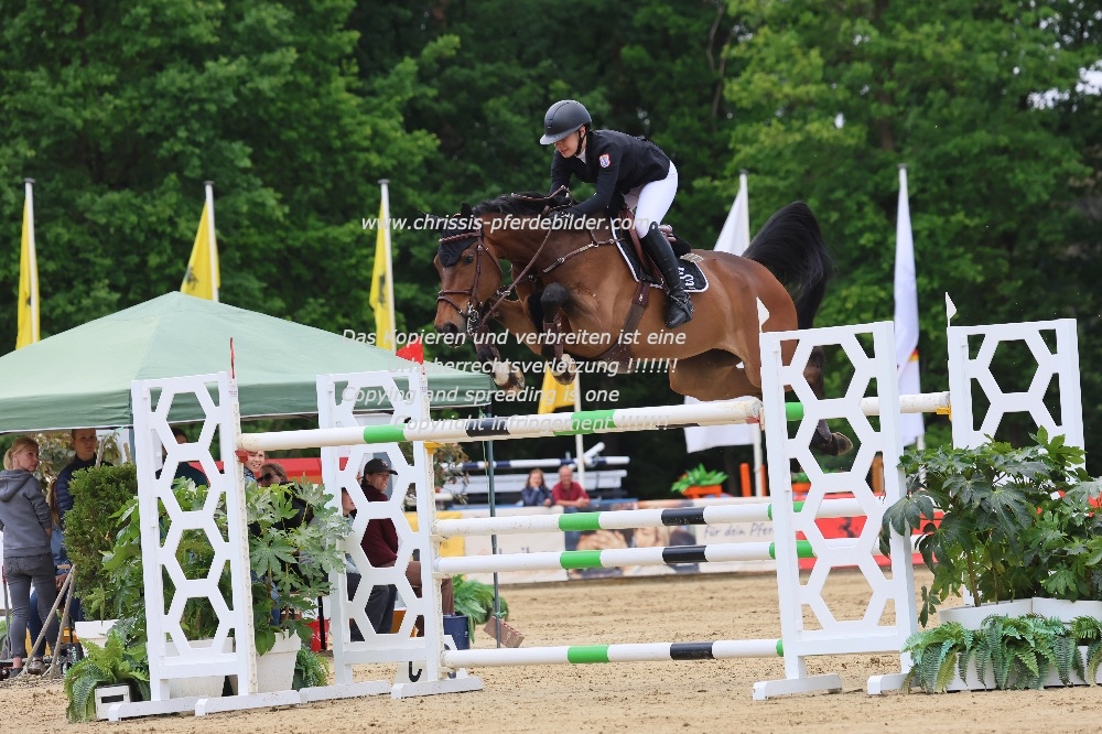 Preview elena eppler mit diacorrada vh legita hof z IMG_2517.jpg